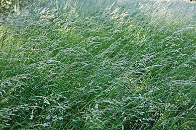 动作游戏《超能融合》抢先体验明年2月1日推出